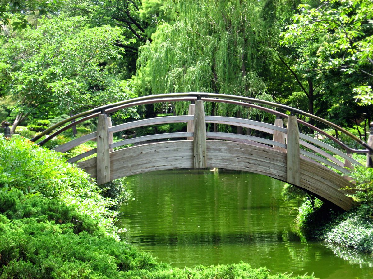 Our Life in Japan